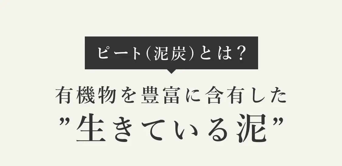 ピート(泥炭)とは？ 有機物を豊富に含有した”生きている泥”